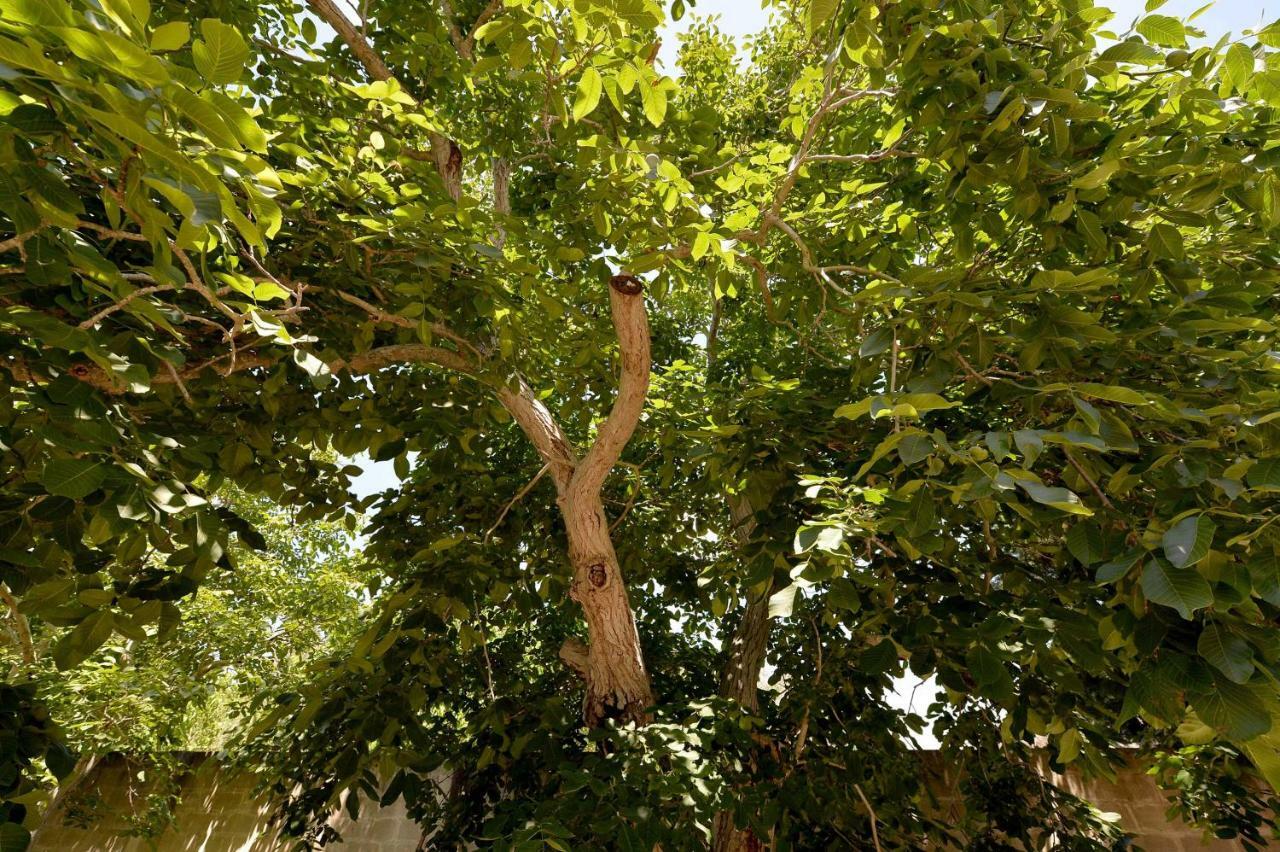 Agriturismo Santa Chiara Alezio Εξωτερικό φωτογραφία